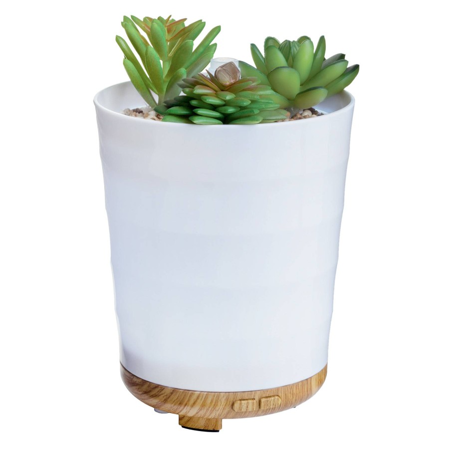 D Cor & Pillows * | Potted Succulent Diffuser Hot Sale