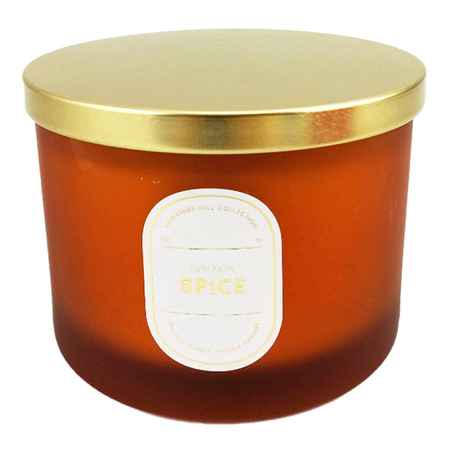 D Cor & Pillows * | Pumpkin Spice Scented Jar Candle, 16Oz Discount Store